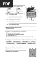 Teste 2 Digestão e Resp. Celular