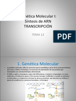 Genetica_Molecular_I.ppt