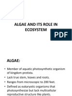 Algae and Its Role in Ecosystem