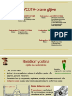 V Predavanje Oam Mikologija