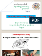 Ovariohysterectomy in Bitch