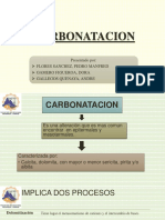 CARBONATACION Estructural