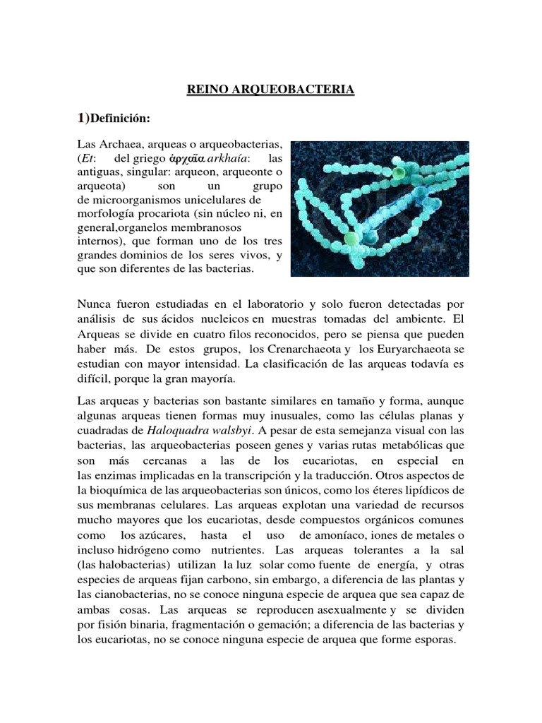 Características de las Arqueobacterias | PDF | Archaea | Las bacterias