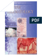 Equine Dermatology.pdf