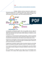 Dogma Central de La Biología Exposicion