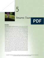 NeuroSci5E_Chapter05.pdf