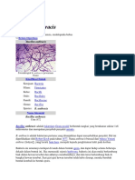 Bacillus Anthracis