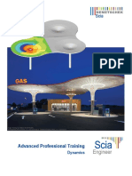 Engadvanced Professional Training - Dynamics PDF