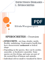 Leptospirosis EFRIDA