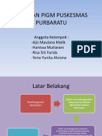 Laporan Pigm Puskesmas Purbaratu