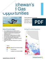 Oil and Gas Opportunities