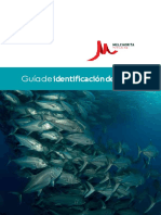 Guia_identificacion_pecesBIOLO (1).docx