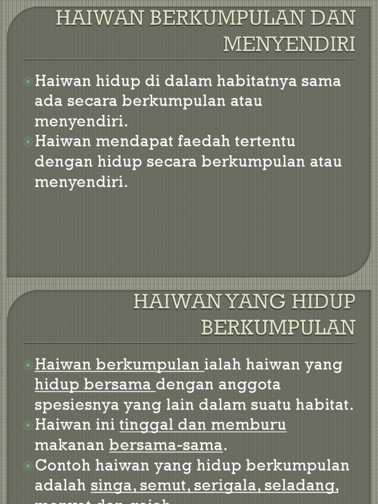 Haiwan Hidup Berkumpulan Dan Sendiri Pdf