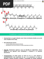 Aula Digestão Absorção Transporte e Oxidação Dos Lipídeos