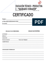 Certificado de Capacitacion RD 520 - 2011 PDF