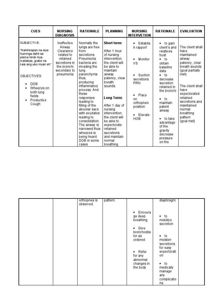 Ncp Ineffective Airway Clearance Respiratory Tract Lung