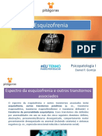 Aula 14 - PPL - Esquizofrenia.pptx