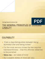 The General Principles of Criminal Liability PPNT