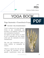 01 Yoga e Anatomia PES