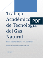 Trabajo Academico de Tecnologia Del Gas Natural Finalizado Hugo Palacios