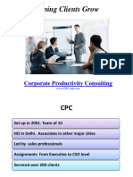 Helping Clients Grow: Corporate Productivity Consulting