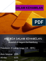 04-Anemia Dalam Kehamilan