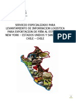 Servicio Especializado Para Levantamiento de Exportacion de Piña a New York