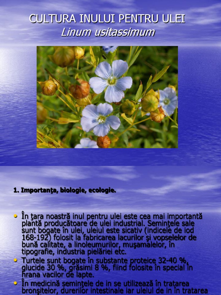 Inul Ulei | PDF