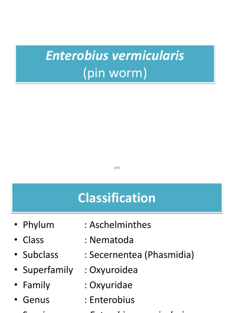 enterobius vermicularis taxonomy