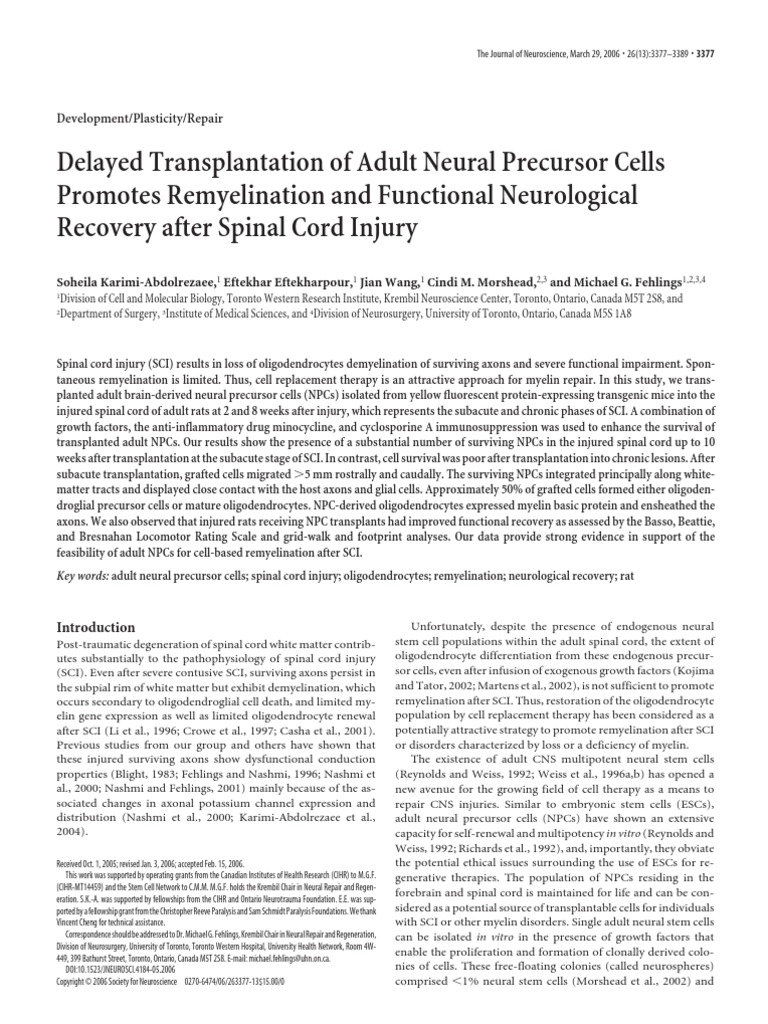Delayed Transplantation of Adult Neural Precursor Cells Promotes Ion ...