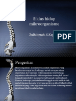 SIKLUS MIKROORGANISME