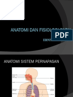 Anatomi Fisiologi Paru EDIT