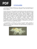 Citoplasma.doc