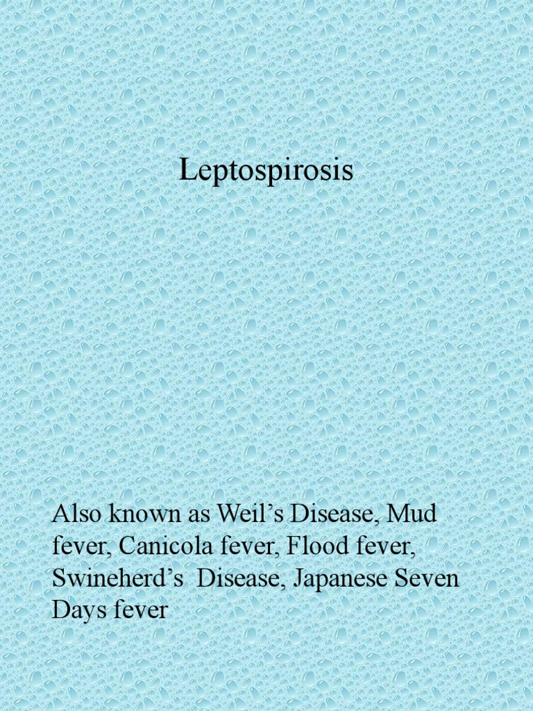 Case Study Leptospirosis Powerpoint PDF Medical Specialties