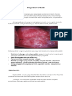 Pengertian Serviksitis