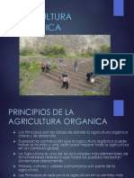 Agricultura Organica 1
