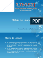 MATRIZ DE LEOPOL.pptx