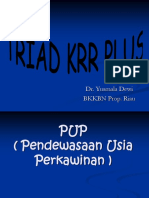 Triad KRR Plus