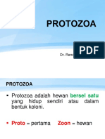 Protozoa Fix