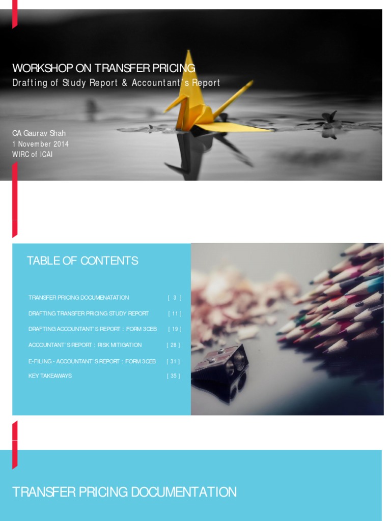 Drafting of TP Study Report and Accountants Report PDF Business