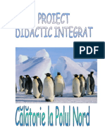 calatorie-la-polul-nord-proiect-didactic-integrat.doc