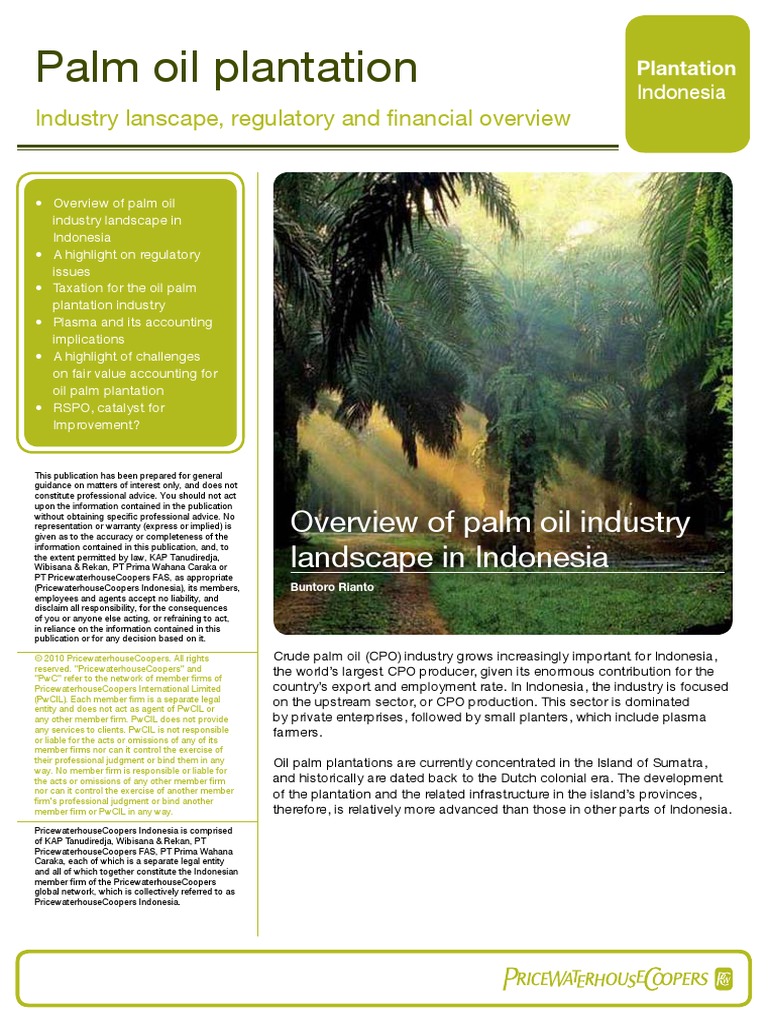 Palm Oil Plantation PDF | PDF | Dividend | Taxes