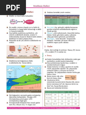 maddenin halleri pdf