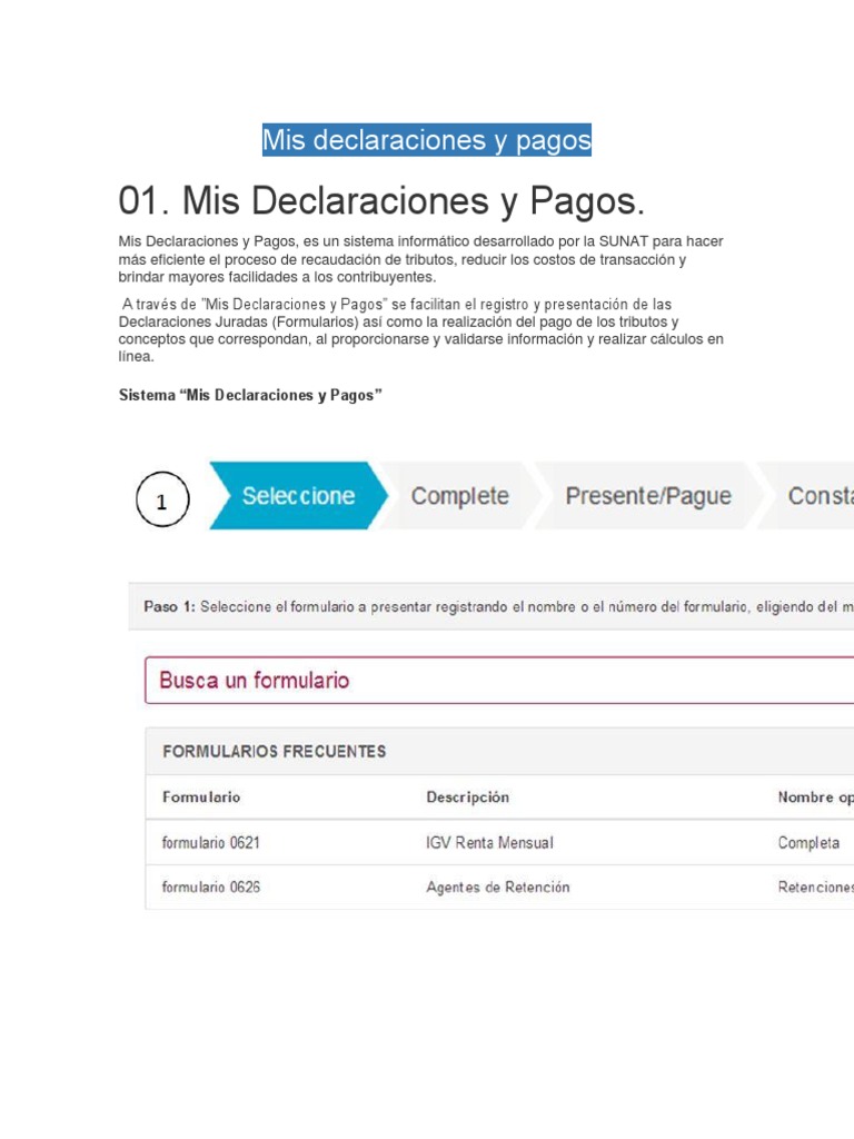 Mis Declaraciones y Pagos | PDF | Microsoft Windows | Computadoras ...