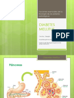 Diabetes Mellitus