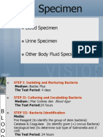 Ipd-Culture and Antibiotic Sensitivity Test