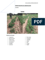 17-Oct INFORME REGISTRO de OBSERVACIÓN - Artac, Boustani, Michieli y Debernardi