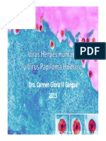 Virus Herpes Humano y Virus Papiloma Humano 2015