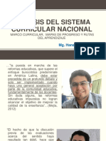 Analisis Del Sistema Curricular Nacional - PPSX