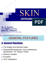 Skin Structure and Functions Overview